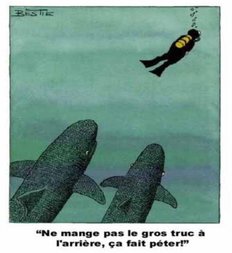 Requins